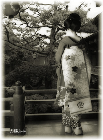 maiko photo